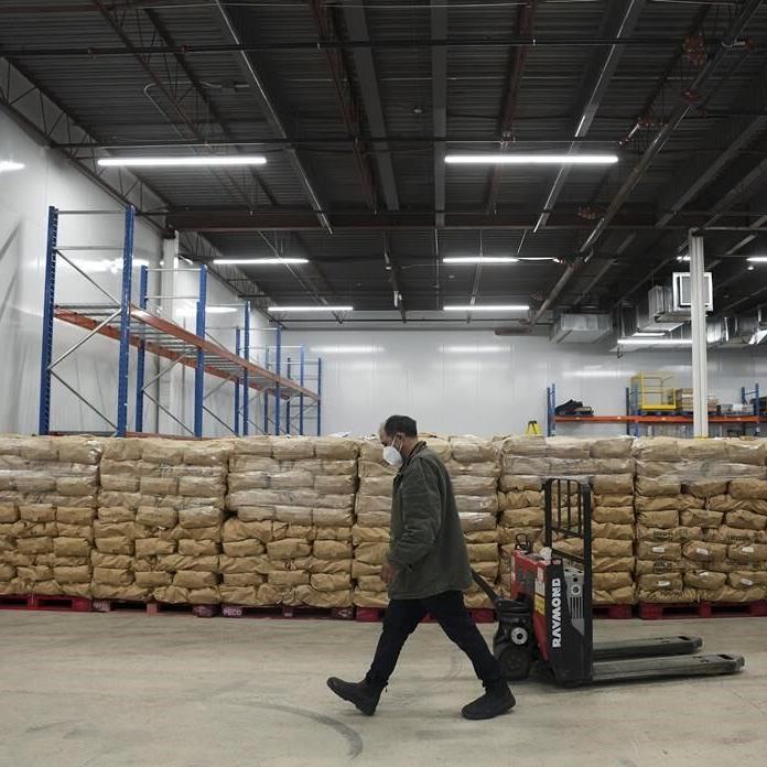 Inspection agency finds four more fields with potato wart in P.E.I., completes probe